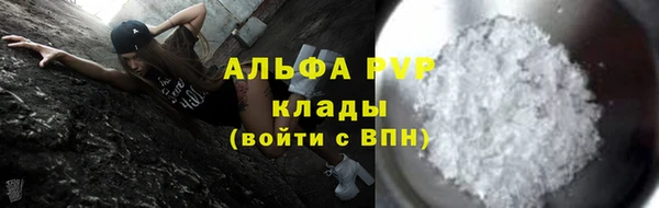 стафф Тайга