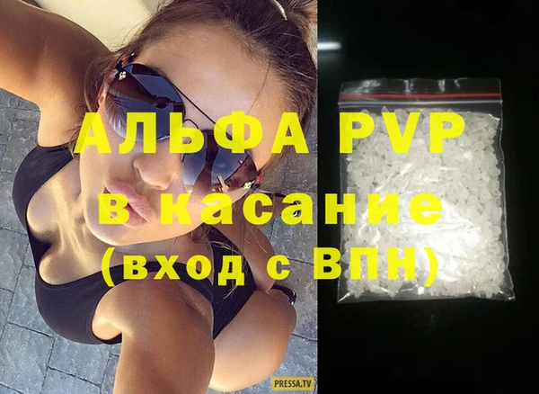 стафф Тайга