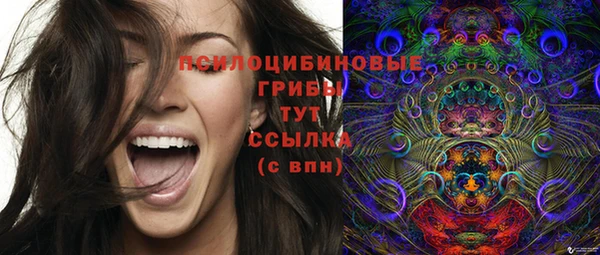 ПСИЛОЦИБИНОВЫЕ ГРИБЫ Тихорецк