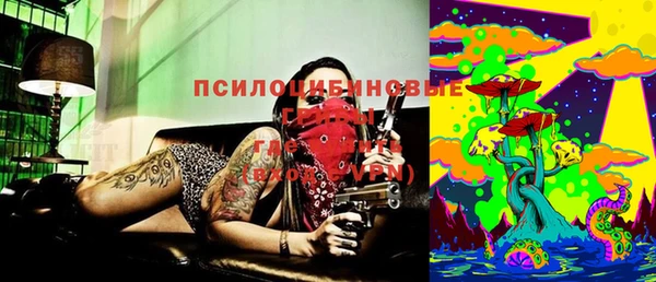 ПСИЛОЦИБИНОВЫЕ ГРИБЫ Тихорецк