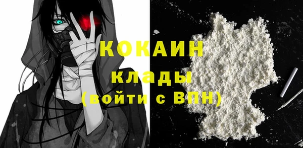 стафф Тайга