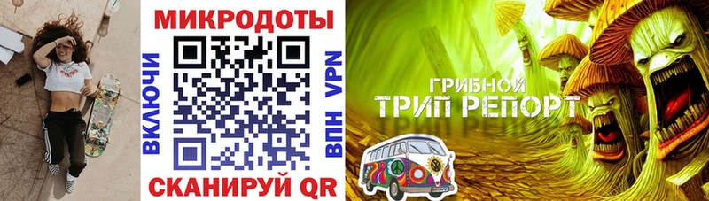 Галлюциногенные грибы MAGIC MUSHROOMS  блэк спрут зеркало  Шарья  купить  цена 
